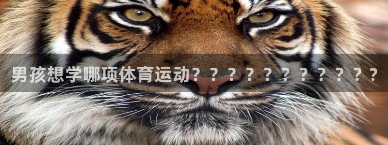JJB竞技宝官网下载平台:男孩想学哪项体育运动???????